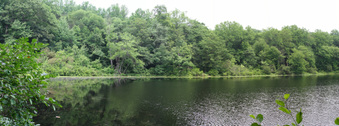 Enlarge photo 63