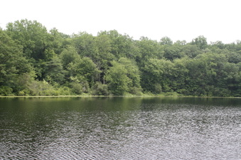 Enlarge photo 64
