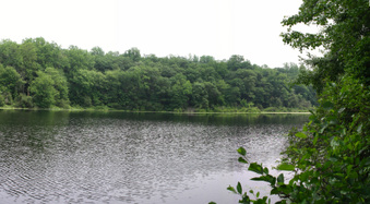 Enlarge photo 65