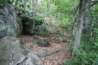 Enlarge photo 66