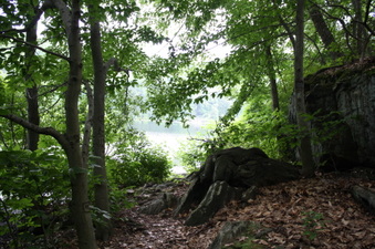Enlarge photo 67