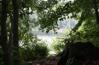 Enlarge photo 68