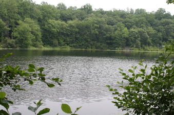Enlarge photo 69
