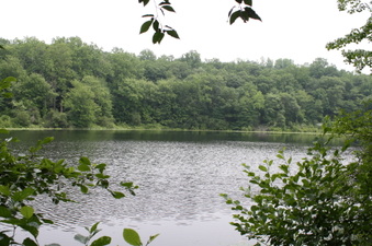Enlarge photo 70