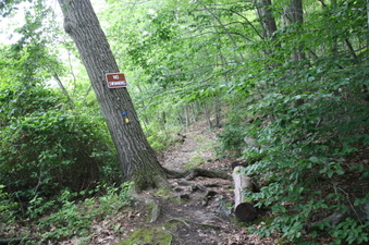 Enlarge photo 71