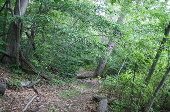 Enlarge photo 72