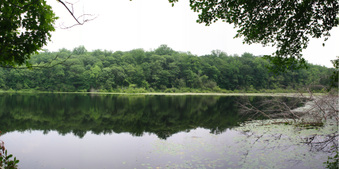 Enlarge photo 73