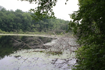 Enlarge photo 74