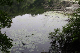 Enlarge photo 75