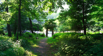 Enlarge photo 12