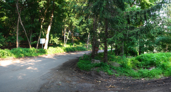 Enlarge photo 16