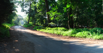 Enlarge photo 18