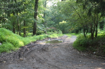 Enlarge photo 24