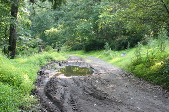 Enlarge photo 25