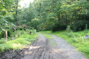 Enlarge photo 27