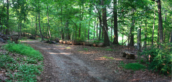 Enlarge photo 28