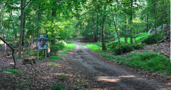 Enlarge photo 29