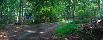Enlarge photo 30