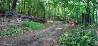 Enlarge photo 31