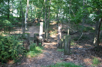 Enlarge photo 32