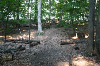 Enlarge photo 34