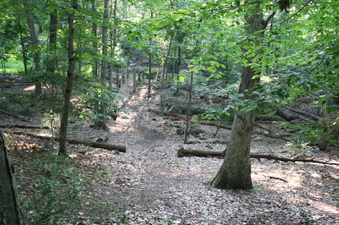 Enlarge photo 35