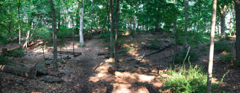 Enlarge photo 36