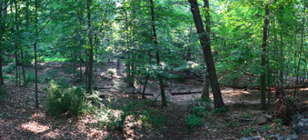 Enlarge photo 37