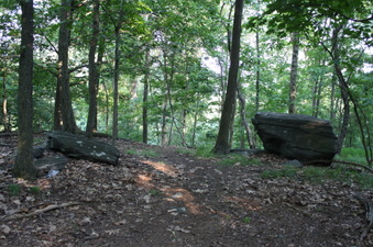 Enlarge photo 38