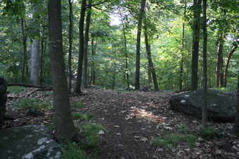 Enlarge photo 39
