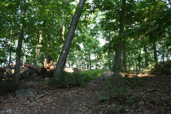 Enlarge photo 40