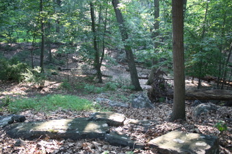 Enlarge photo 41