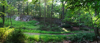 Enlarge photo 42