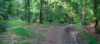 Enlarge photo 43