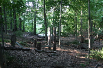 Enlarge photo 44