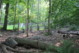 Enlarge photo 45
