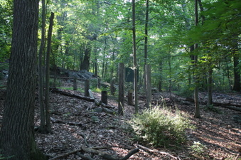 Enlarge photo 46