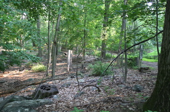 Enlarge photo 47