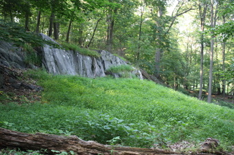 Enlarge photo 48