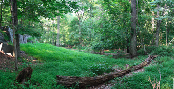 Enlarge photo 49