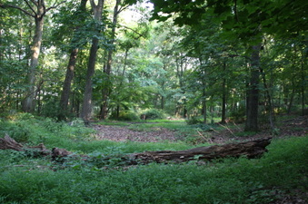 Enlarge photo 50