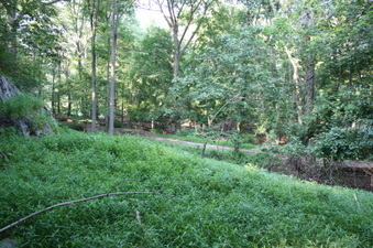 Enlarge photo 51