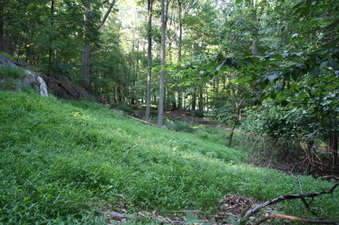 Enlarge photo 52