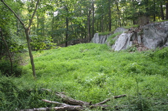 Enlarge photo 53