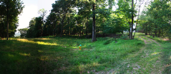 Enlarge photo 54