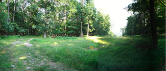 Enlarge photo 55