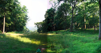 Enlarge photo 56
