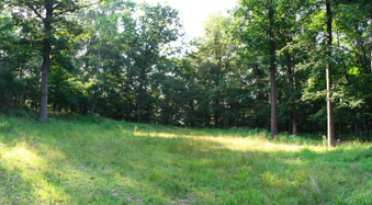 Enlarge photo 57
