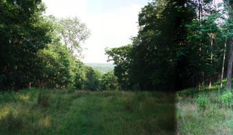 Enlarge photo 58