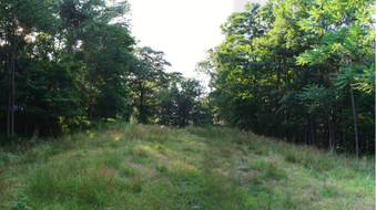 Enlarge photo 59